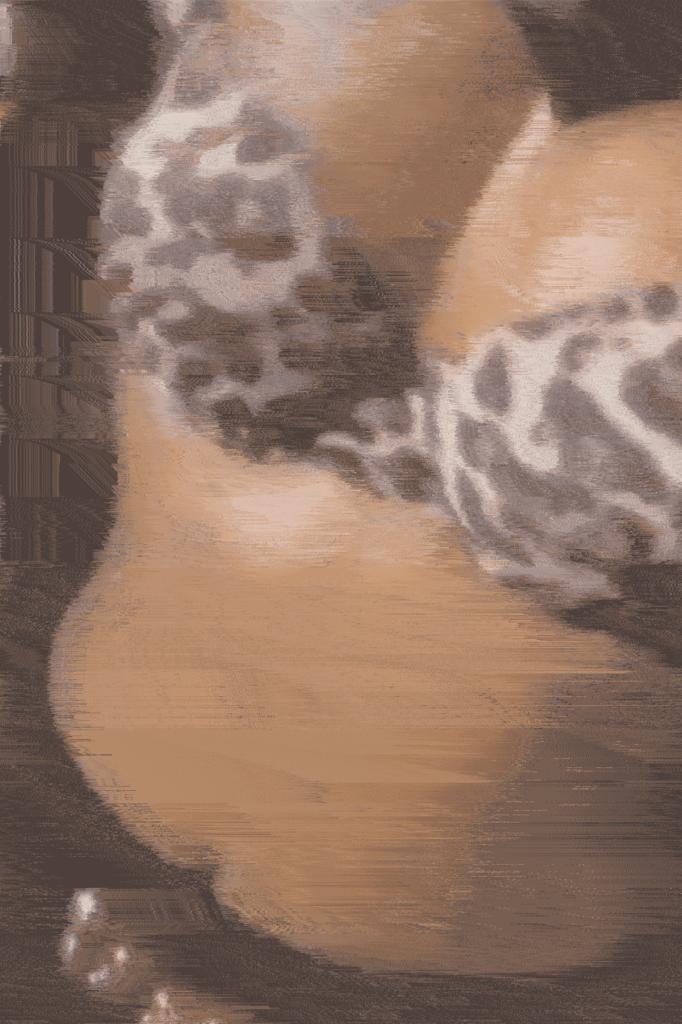 �A�}���K �ڍ�